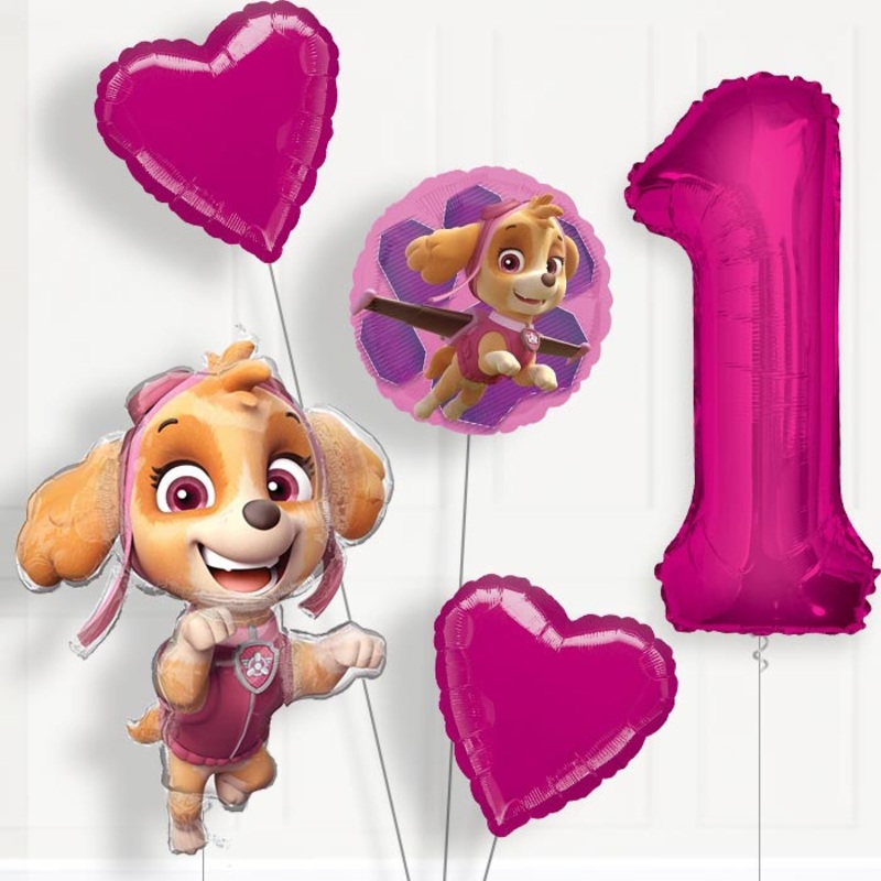 Shaped Skye Helium Balloon Package 1st Birthday