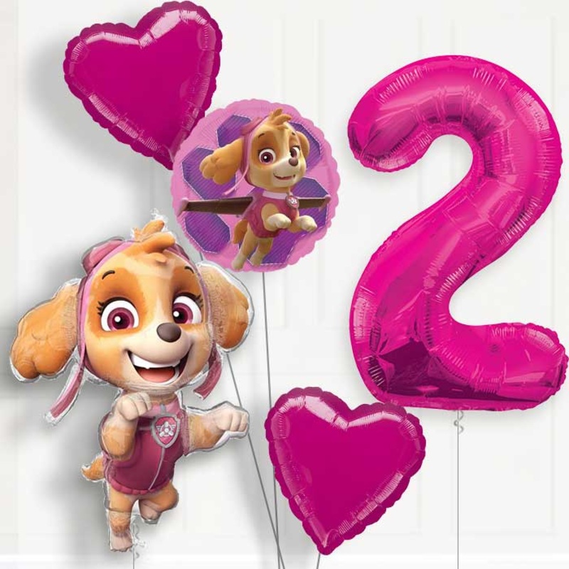 Shaped Skye Helium Balloon Package 2nd Birthday