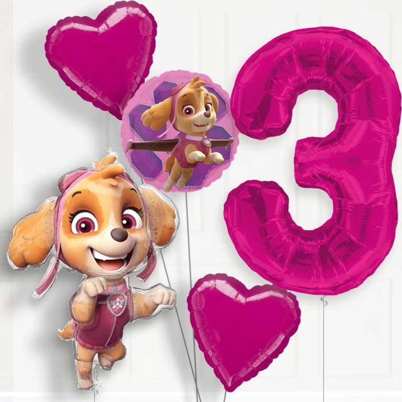 Shaped Skye Helium Balloon Package 3rd Birthday