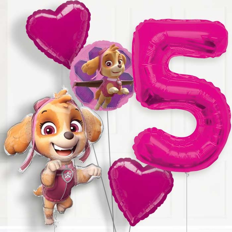 Shaped Skye Helium Balloon Package 5th Birthday