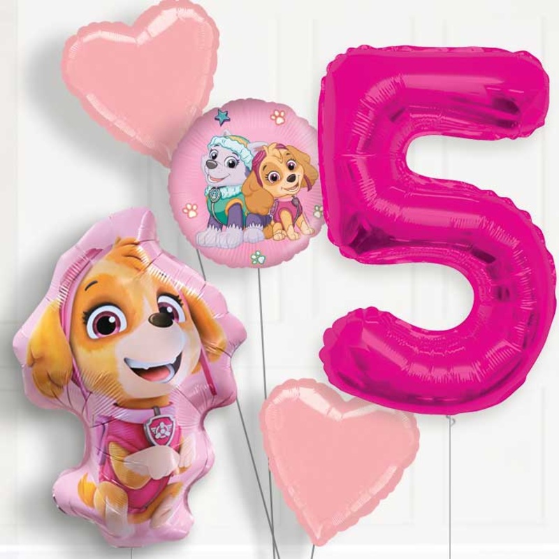 Skye Shaped Helium Balloon Package 5th Birthday