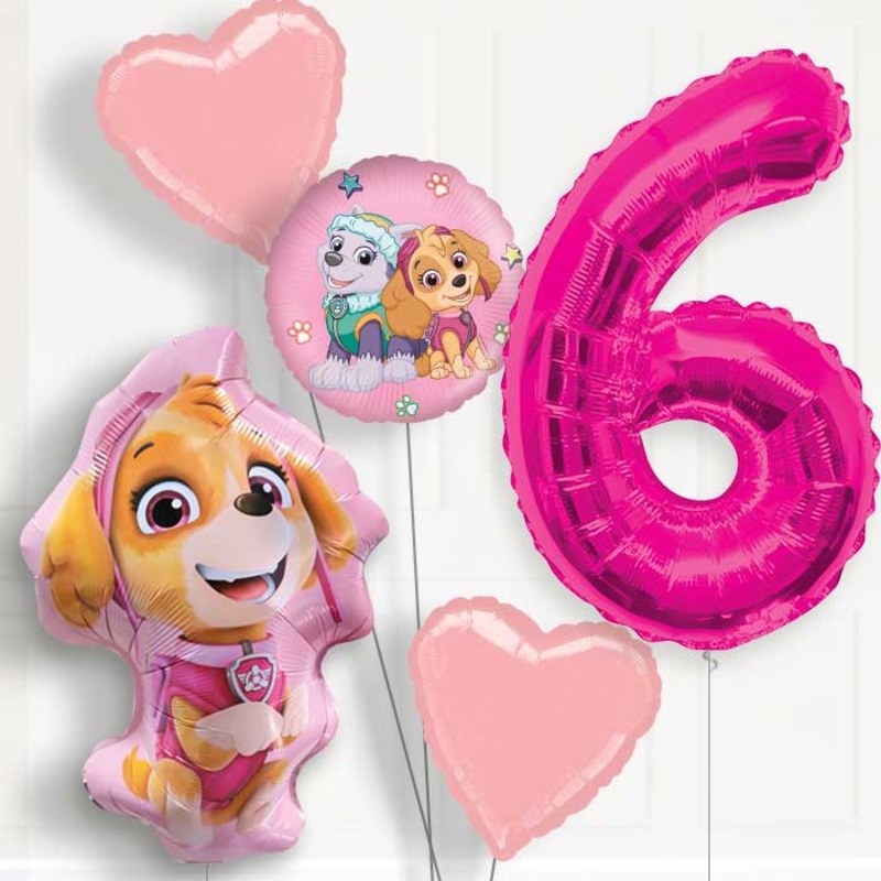 Skye Shaped Helium Balloon Package 6th Birthday