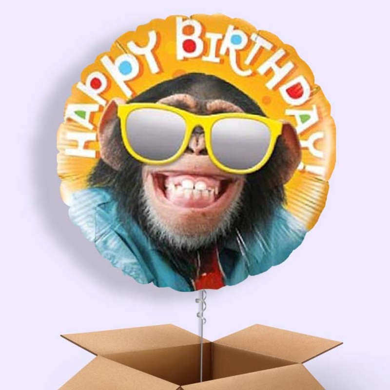 Monkey Balloon in a Box