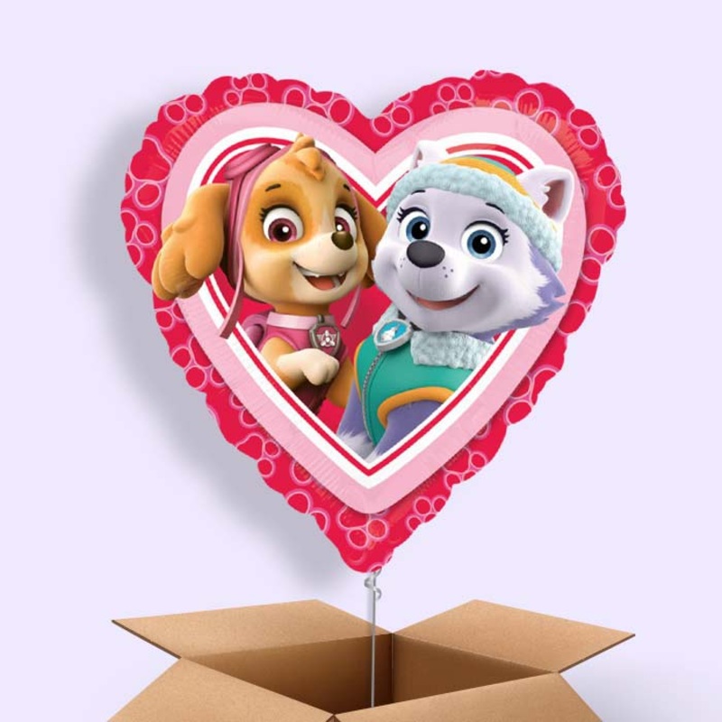Paw Patrol Skye and Everest Balloon in a Box