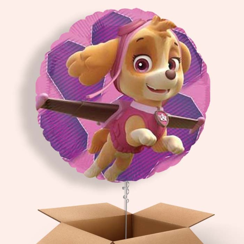 Skye Paw Patrol Balloons in a Box