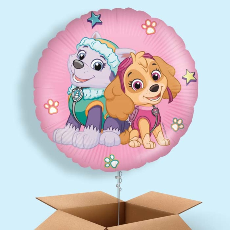 Paw Patrol Skye and Everest Foil Balloon in a Box