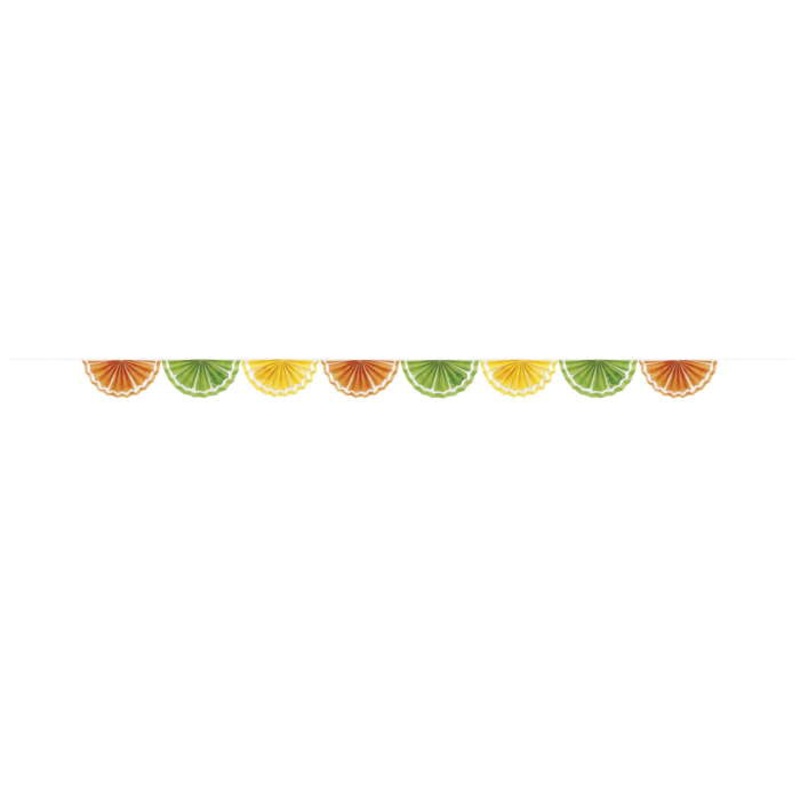 Citrus Fruit Paper Fan Garland