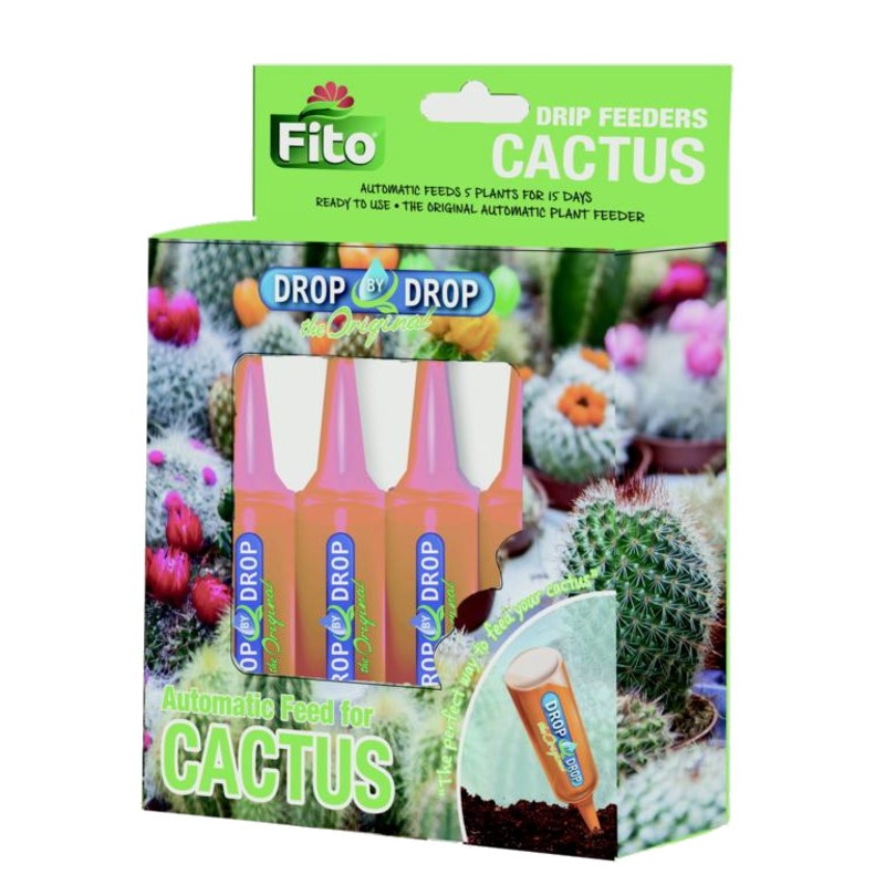 Drip Feeder Cacti and Succulent Plants - Set of 5