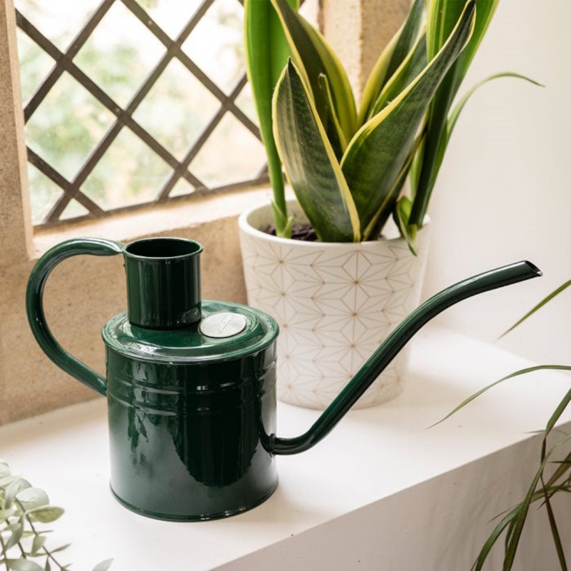 Kent and Stowe Indoor Metal Watering Can 1ltr Forest Green