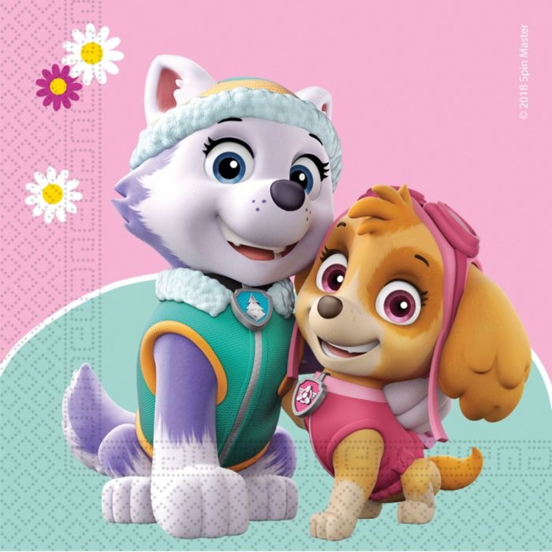 Everest & Skye Paw Patrol Napkins Pack of 20