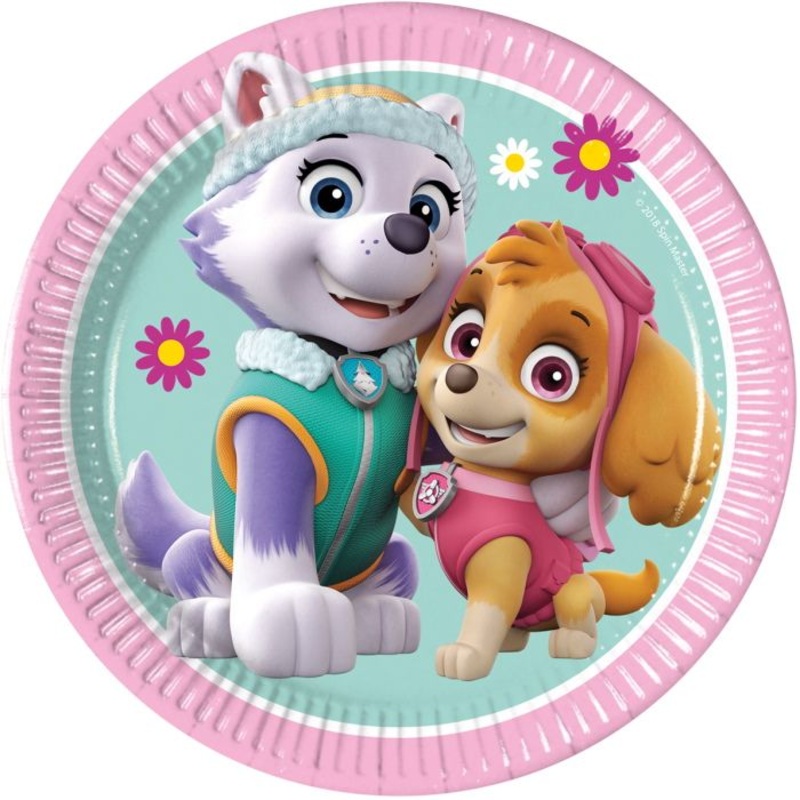 Everest & Skye Paw Patrol Plates Pack of 8