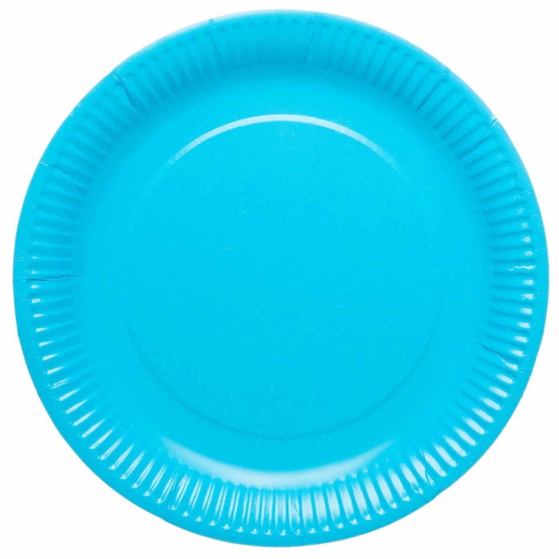Forget Me Not Blue Plates Pack of 8