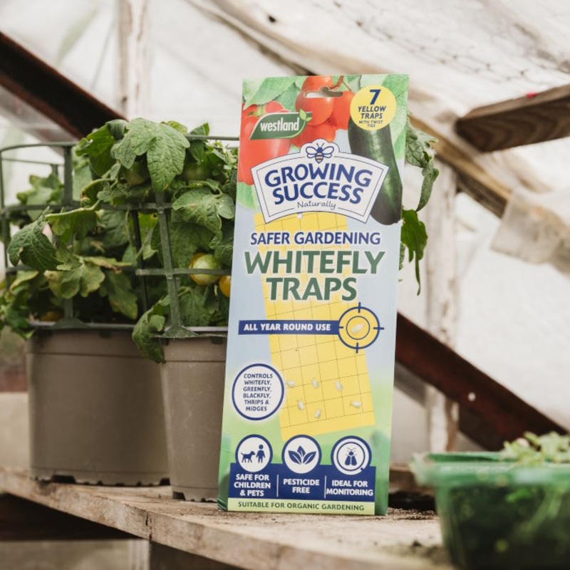Gro Sure Whitefly Sticky Traps 7 Pack